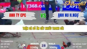 TRẬN 28 XÀ XÍA 1/1/2026