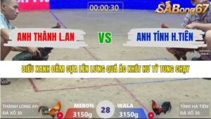 TRẬN 28 XÀ XÍA 16/1/2026