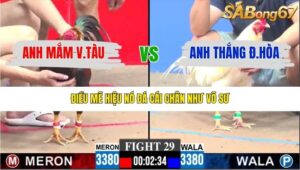 TRẬN 29 CPC3 18/1/2026