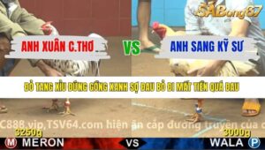 TRẬN 29 CPC4 13/1/2026