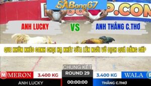 TRẬN 29 TONHON 11/1/2026