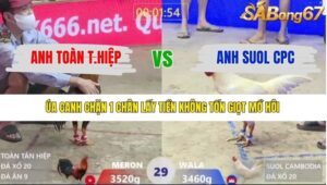 TRẬN 29 XÀ XÍA 10/1/2026