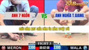 TRẬN 3 CPC3 11/1/2026