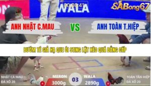 TRẬN 3 XÀ XÍA 10/1/2026