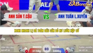 TRẬN 3 XÀ XÍA 17/1/2026