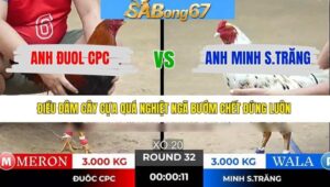 TRẬN 32 TONHON 7/1/2026