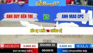 TRẬN 33 TONHON 7/1/2026