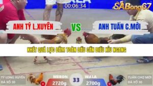 TRẬN 33 XÀ XÍA 19/1/2026