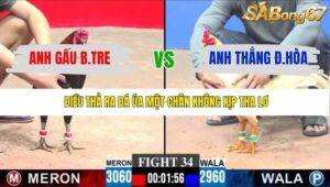 TRẬN 34 CPC3 23/1/2026