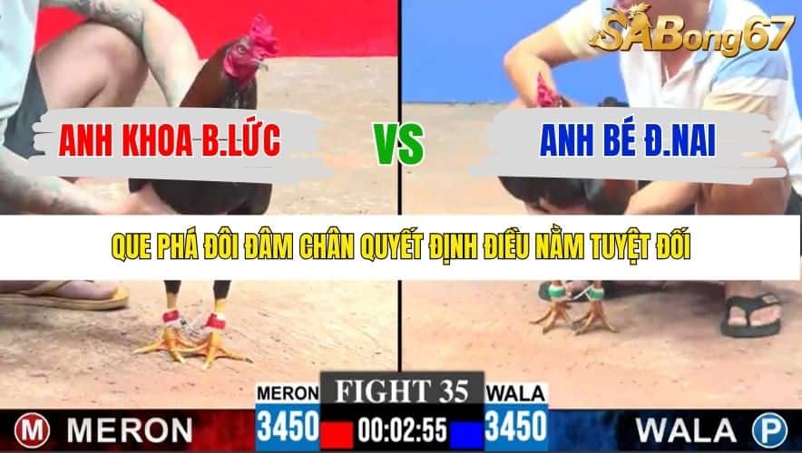 TRẬN 35 CPC3 23/1/2026