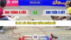 TRẬN 35 XÀ XÍA 19/1/2026