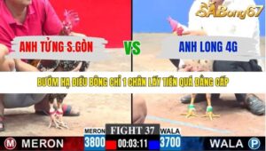 TRẬN 37 CPC3 23/1/2026