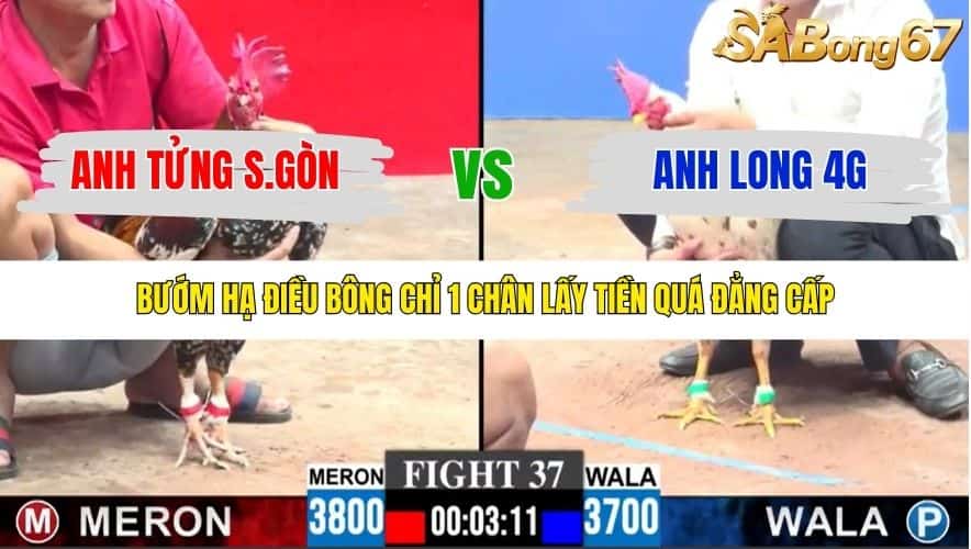 TRẬN 37 CPC3 23/1/2026