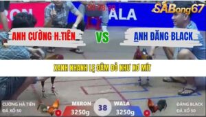 TRẬN 38 XÀ XÍA 1/1/2026