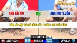 TRẬN 4 CPC3 8/1/2026