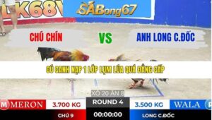 TRẬN 4 TONHON 13/1/2026