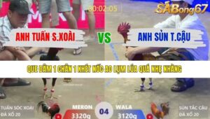 TRẬN 4 XÀ XÍA 10/1/2026