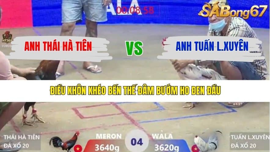 TRẬN 4 XÀ XÍA 31/1/2026