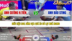 TRẬN 41 XÀ XÍA 1/1/2026