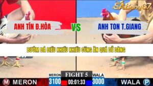 TRẬN 5 CPC3 8/1/2026