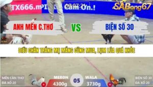 TRẬN 5 XÀ XÍA 17/1/2026