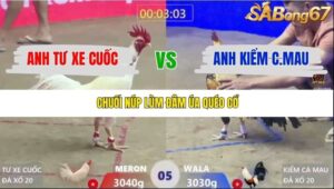 TRẬN 5 XÀ XÍA 21/1/2026