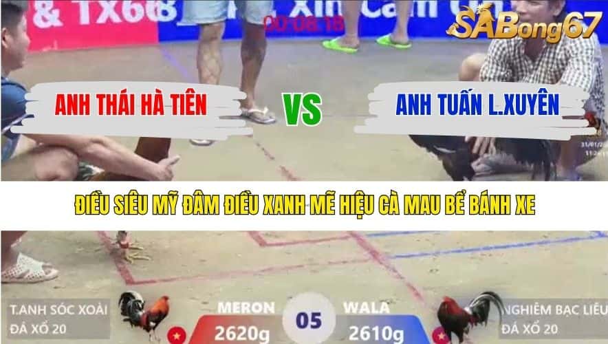 TRẬN 5 XÀ XÍA 31/1/2026