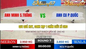 TRẬN 7 TONHON 21/1/2026