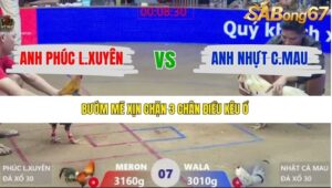 TRẬN 7 XÀ XÍA 10/1/2026