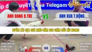 TRẬN 8 XÀ XÍA 10/1/2026