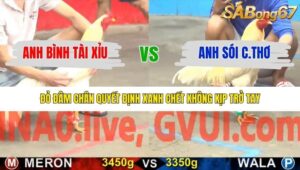 TRẬN 9 CPC5 16/1/2026