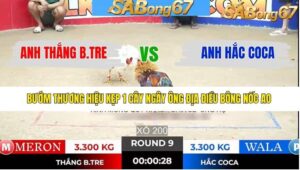 TRẬN 9 TONHON 7/1/2026