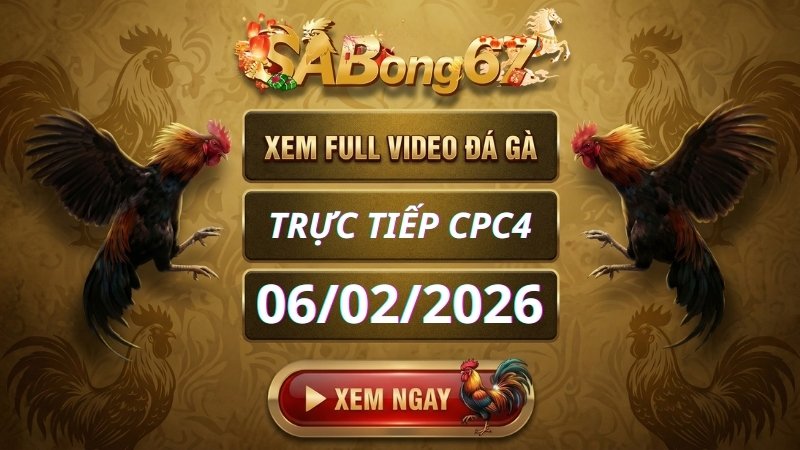 Đá Gà Trực Tiếp Tại Bồ CPC4 Ngày 06/02/2026